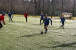 IMGP9737_Fs